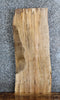 Thumbnail for Live Edge Spalted Maple Side Table Top/Wall Shelf Slab 634