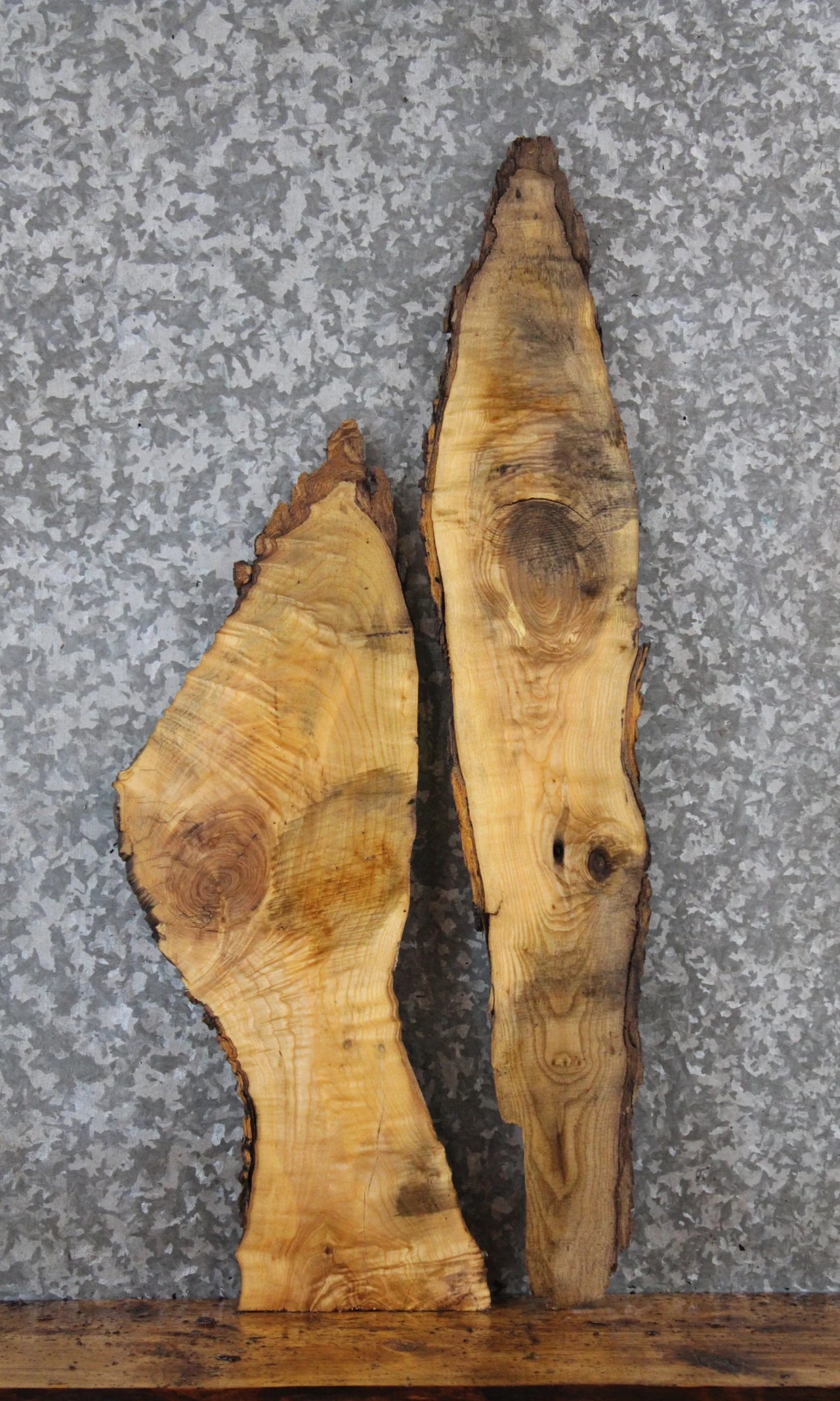 2- Live Edge Ash Charcuterie Boards/Taxidermy Mount Slabs 637-638