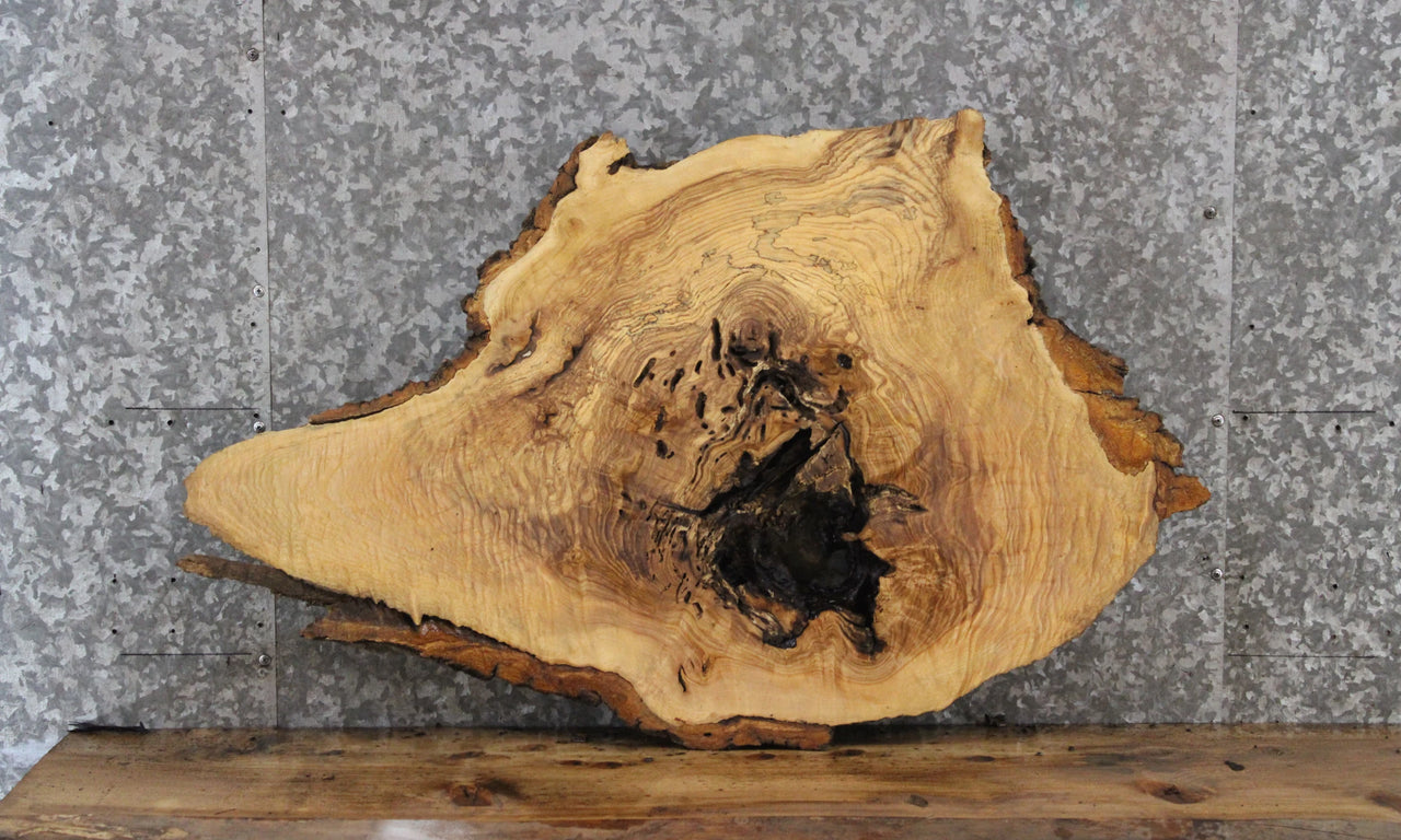 Figured Burl Ash Live Edge Wood Slab, Round/Oval Cut 6381