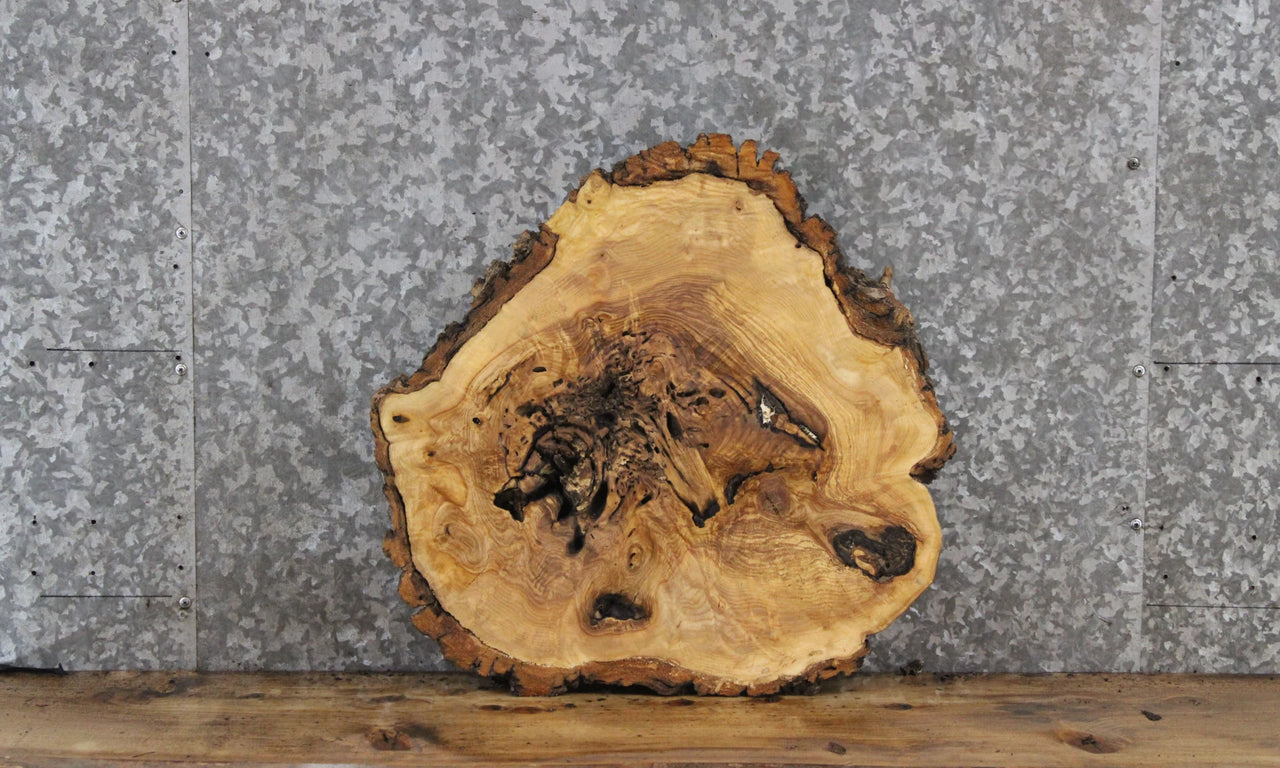 Figured Burl Ash Live Edge Round Wood Slab 6385