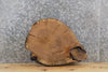 Thumbnail for Live Edge Round White Oak End/Side Table Slab CLOSEOUT 6387