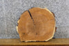 Thumbnail for White Oak Reclaimed Live Edge Round Cut Epoxy Project Slab 6391