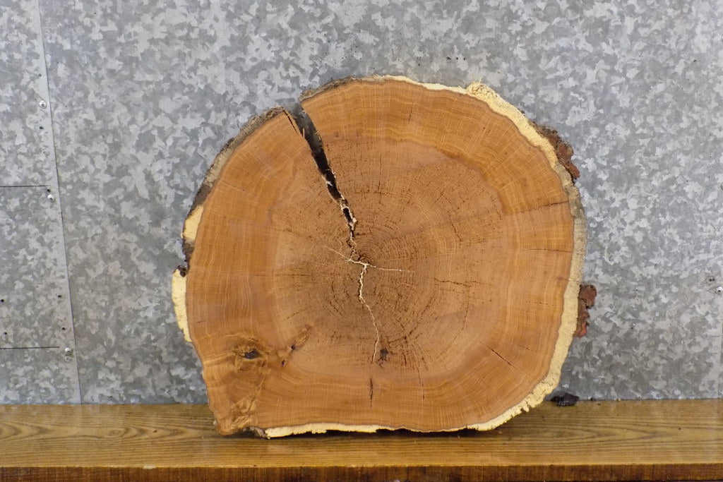 White Oak Reclaimed Live Edge Round Cut Epoxy Project Slab 6391