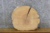 Thumbnail for White Oak Reclaimed Live Edge Round Cut Epoxy Project Slab 6391