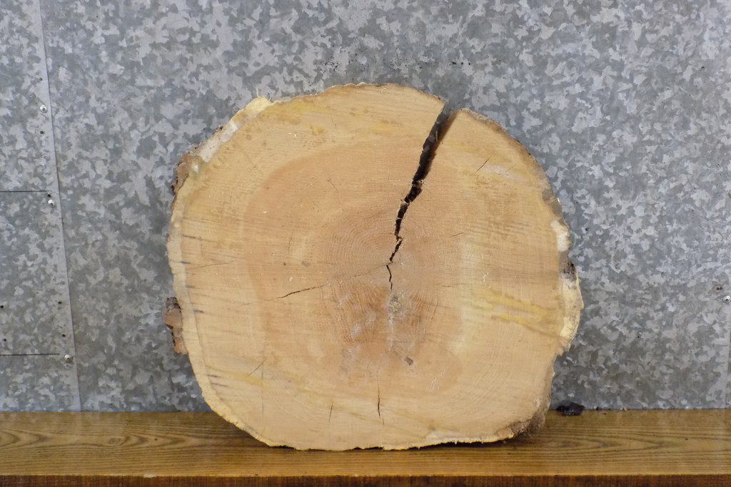 White Oak Reclaimed Live Edge Round Cut Epoxy Project Slab 6391