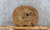Thumbnail for Circle Cut Live Edge Elm Tree Slice, Wood Slab 6392