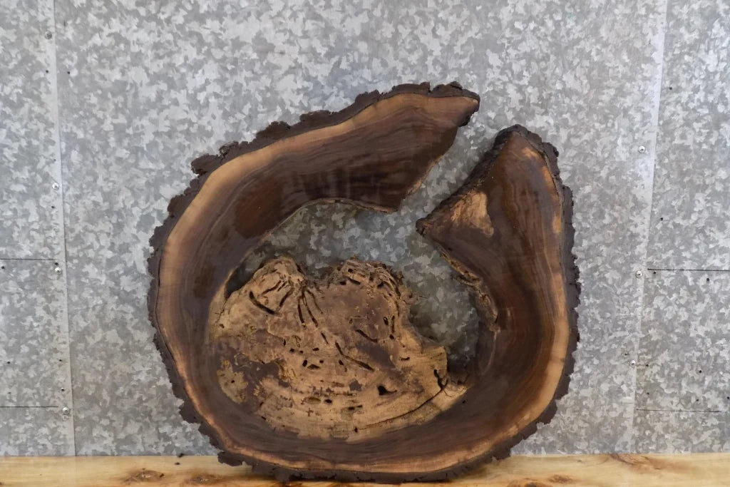 Live Edge Round Cut Black Walnut Epoxy Project Slab 6394