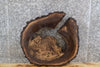 Thumbnail for Live Edge Round Cut Black Walnut Epoxy Project Slab 6394