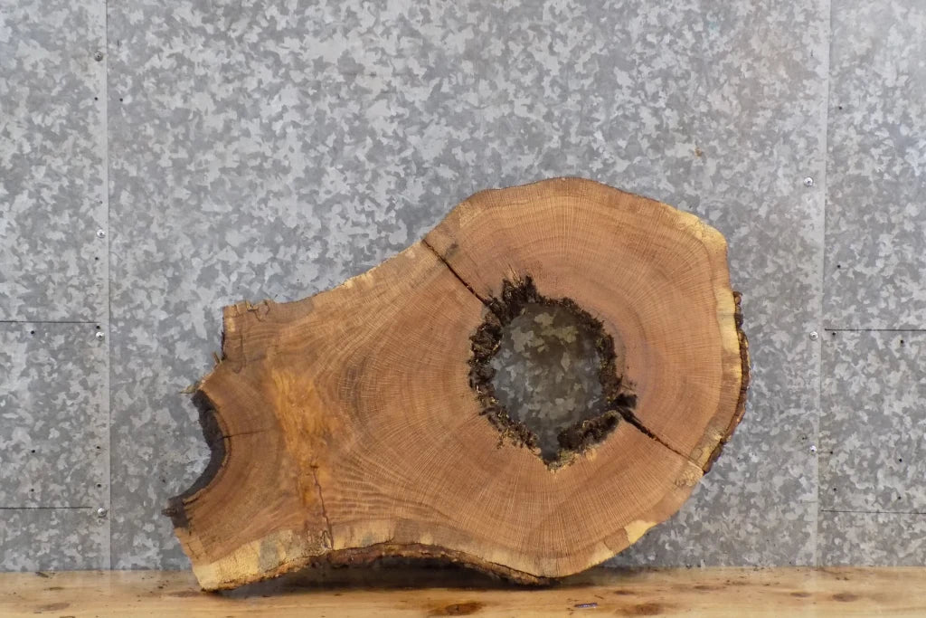 2- Live Edge White Oak Oval Cut Split Slab/Epoxy Slab CLOSEOUT 6396-6397