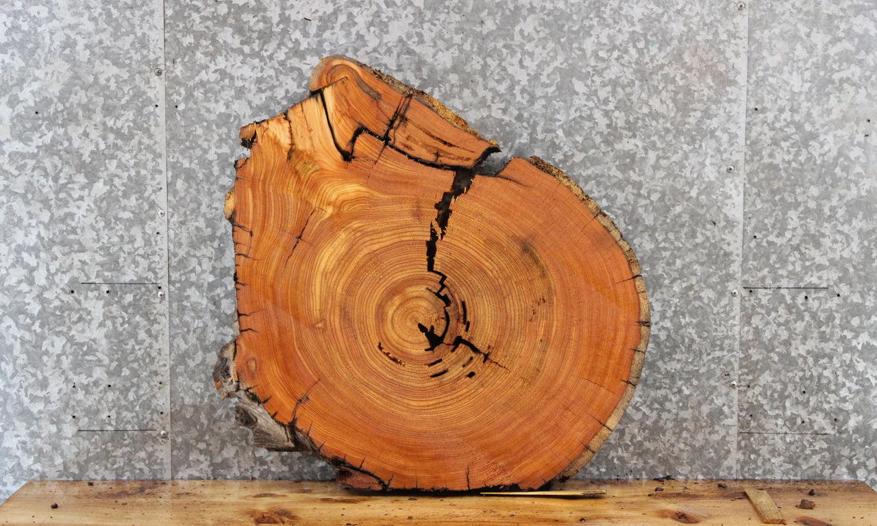 Cedar Wood Table Top Slab, End Table, Circle Cut, Round 6401
