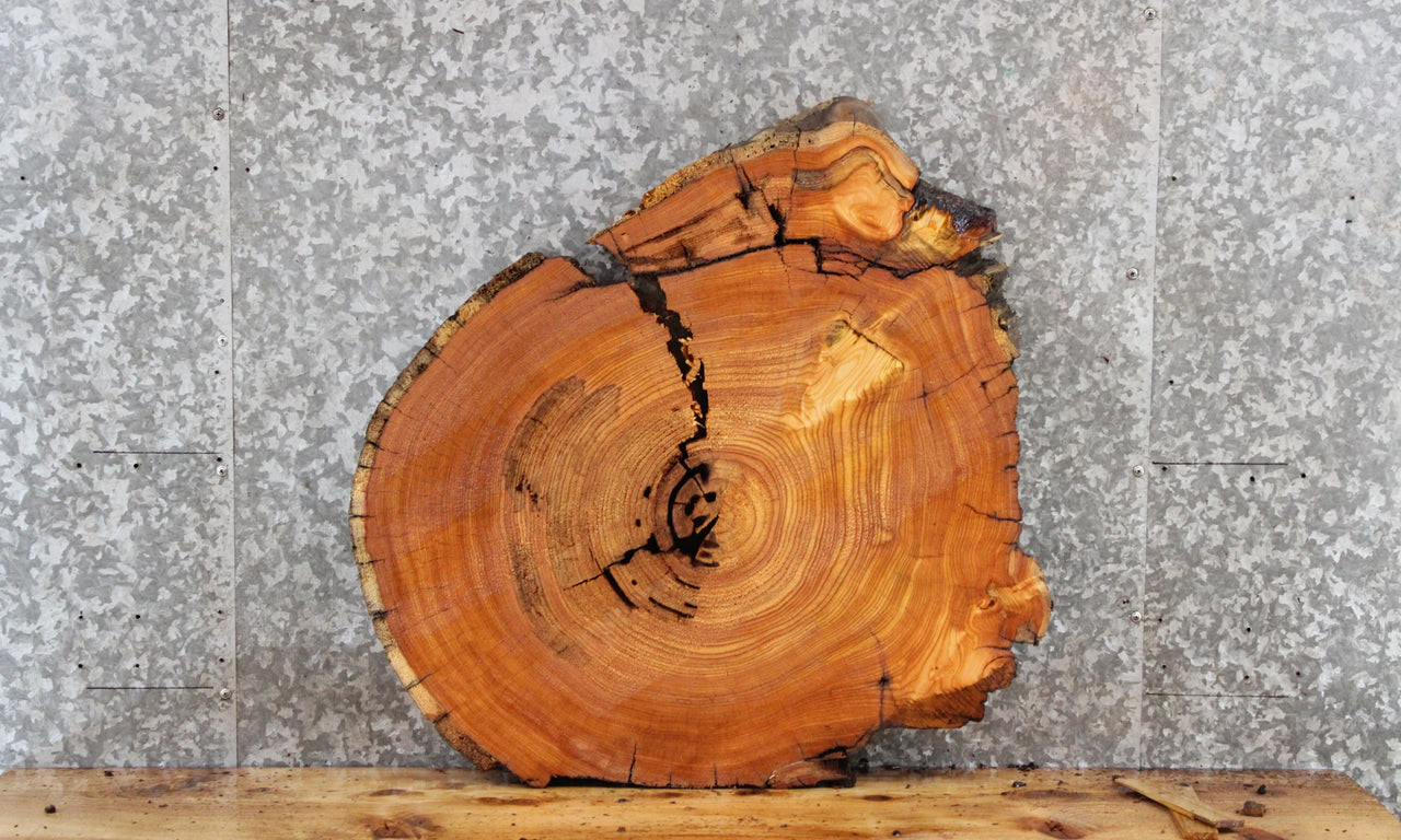 Cedar Wood Table Top Slab, End Table, Circle Cut, Round 6401