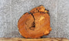 Thumbnail for Cedar Wood Table Top Slab, End Table, Circle Cut, Round 6401