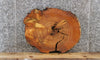 Thumbnail for Live Edge Cedar Slab, Wood Coffee Table Top, End Table 6402