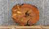 Thumbnail for Live Edge Cedar Slab, Wood Coffee Table Top, End Table 6402
