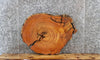 Thumbnail for Wood Live Edge Cedar Slab, Circle Cut, End Table Top 6403