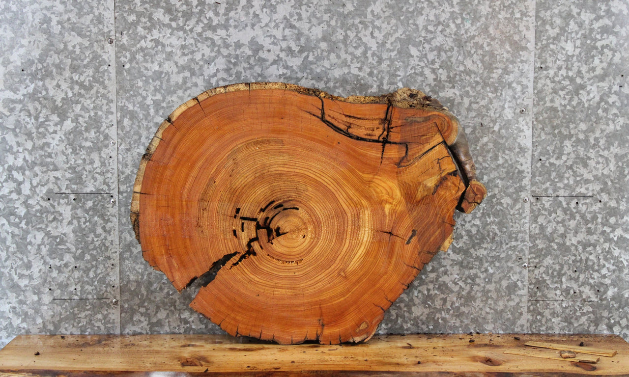 Wood Live Edge Cedar Slab, Circle Cut, End Table Top 6403