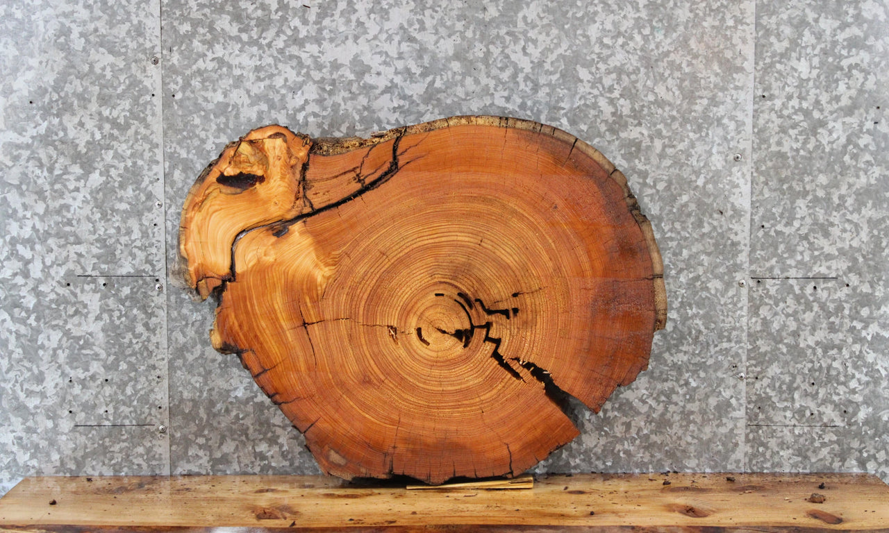 Wood Live Edge Cedar Slab, Circle Cut, End Table Top 6403