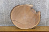 Thumbnail for Natural Edge Bark Round Cut Black Walnut Slab 6404