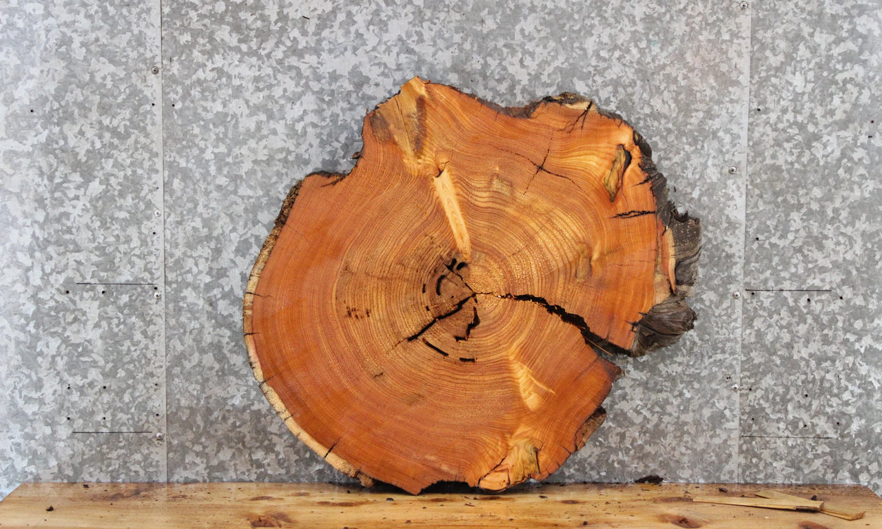 Live Edge Cedar Slab, Unique End Table Top, Coffee Table 6405