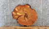 Thumbnail for Live Edge Cedar Slab, Unique End Table Top, Coffee Table 6405