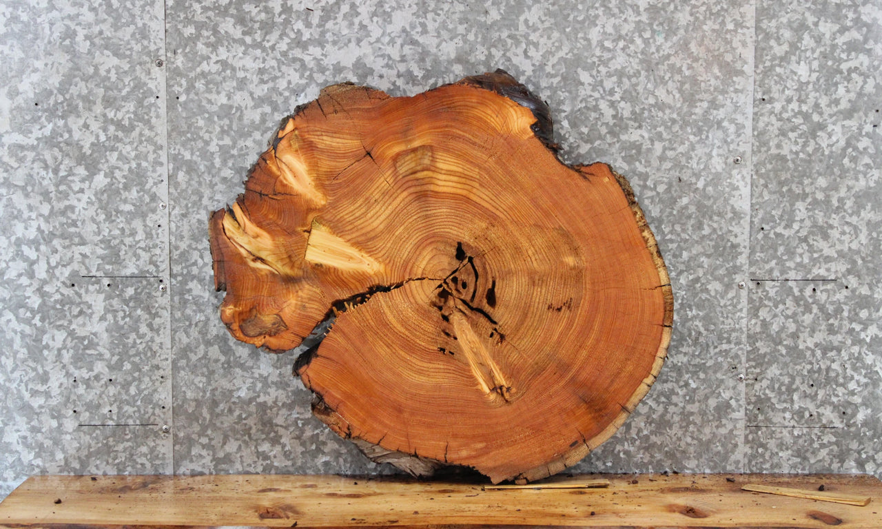 Live Edge Cedar Slab, Unique End Table Top, Coffee Table 6405