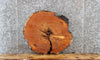 Thumbnail for Live Edge Cedar Circle Cut Slab, Wood End Table Top 6406