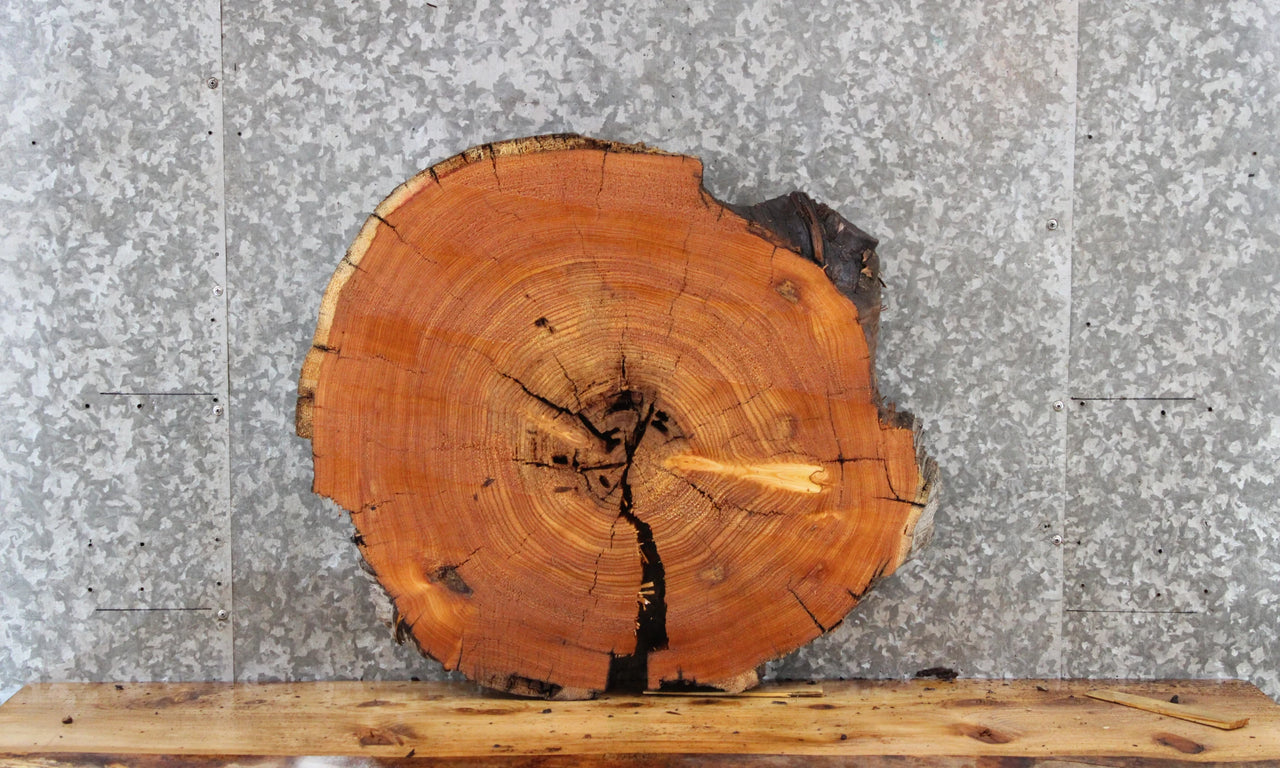 Live Edge Cedar Circle Cut Slab, Wood End Table Top 6406