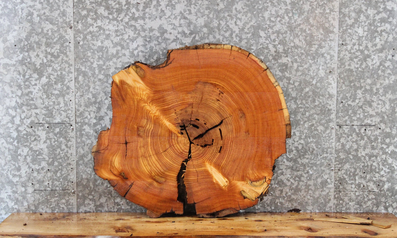 Live Edge Cedar Circle Cut Slab, Wood End Table Top 6406