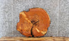 Thumbnail for Live Edge Cedar Circle Cut Slab, Wood End Table Top 6406