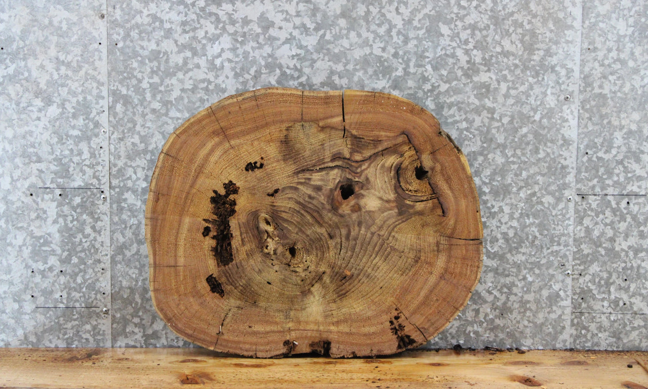 Elm Live Edge Wood Slab, Tree Slice, End Table Top 6411