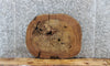 Thumbnail for Elm Live Edge Wood Slab, Tree Slice, End Table Top 6411