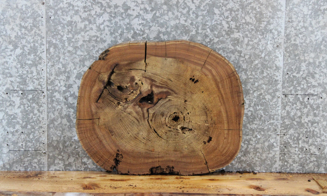 Elm Live Edge Wood Slab, Tree Slice, End Table Top 6411