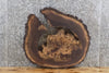 Thumbnail for Live Edge Black Walnut Round Cut Coffee Table Top Slab 6412