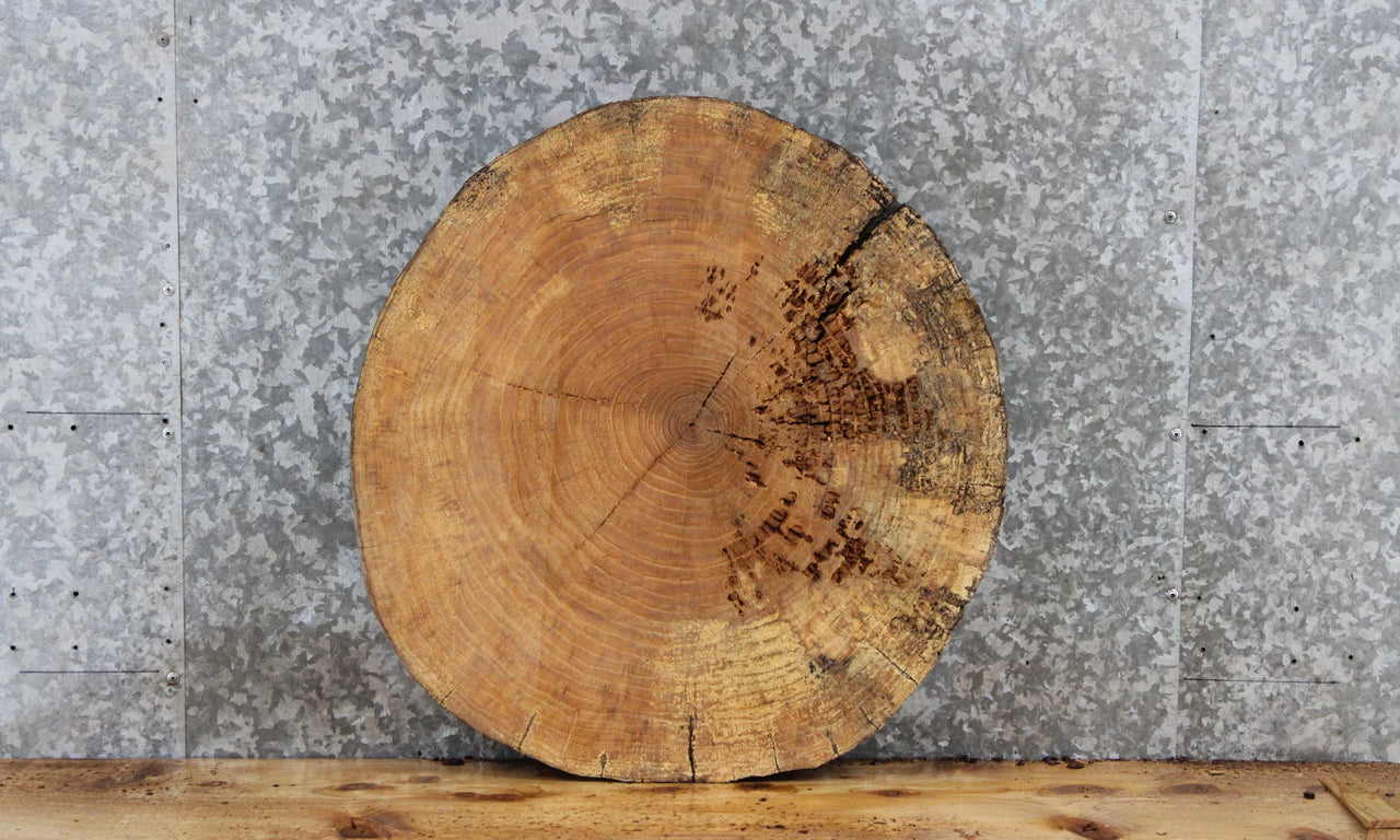 Maple Live Edge Circle Cut Wood Slab, End Table Top 6412