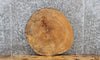Thumbnail for Live Edge Maple Circle Cut Round Slab, Wood Tree Slice 6413