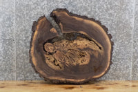 Thumbnail for Live Edge Black Walnut Round Cut Accent Table Top Slab 6414