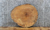 Thumbnail for Maple Live Edge Wood Slab, Tree Slice Slab, Wood 6414