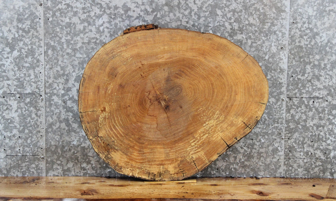 Maple Live Edge Wood Slab, Tree Slice Slab, Wood 6414