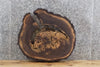 Thumbnail for Live Edge Black Walnut Round Cut End/Coffee Table Top Slab 6416
