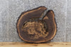 Thumbnail for Live Edge Black Walnut Round Cut End/Coffee Table Top Slab 6416