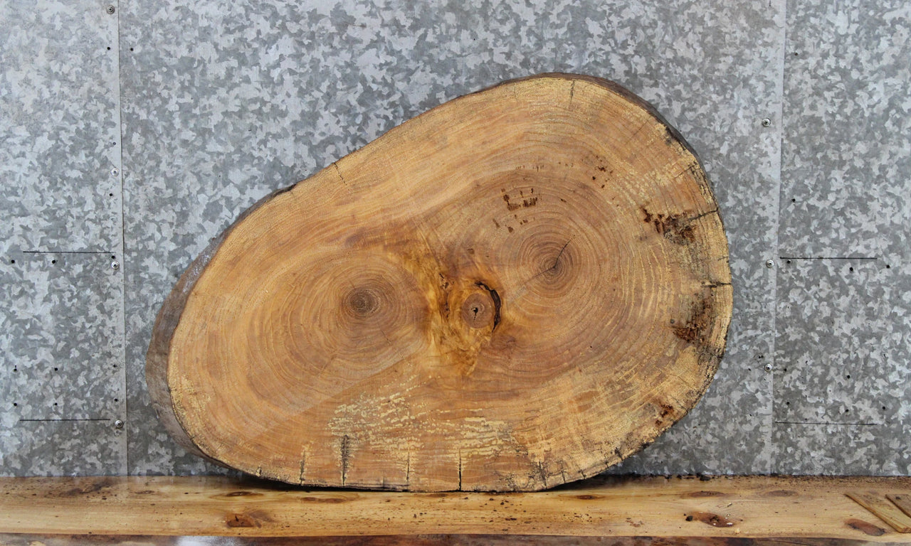 Maple Live Edge Wood Tree Slice, Coffee Table Top Slab 6417