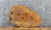 Thumbnail for Maple Live Edge Wood Tree Slice, Coffee Table Top Slab 6417
