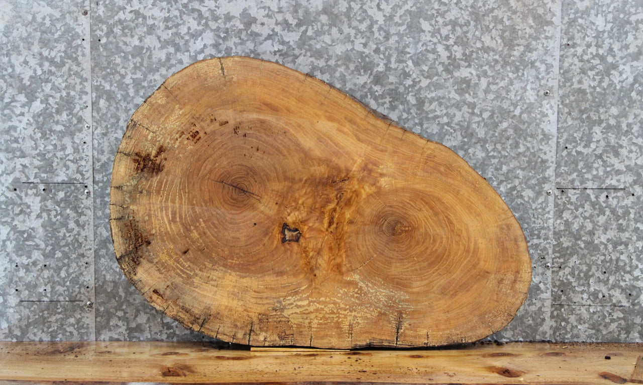 Maple Live Edge Wood Tree Slice, Coffee Table Top Slab 6417