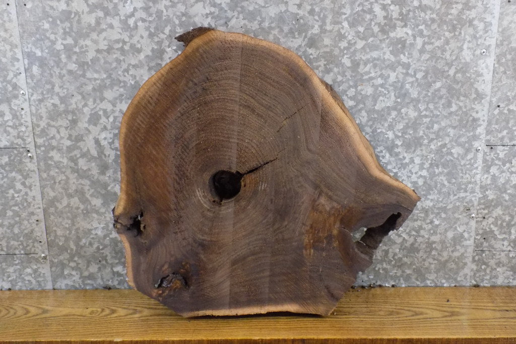 Live Edge Rustic Round Cut Black Walnut Side Table Top Slab 6422