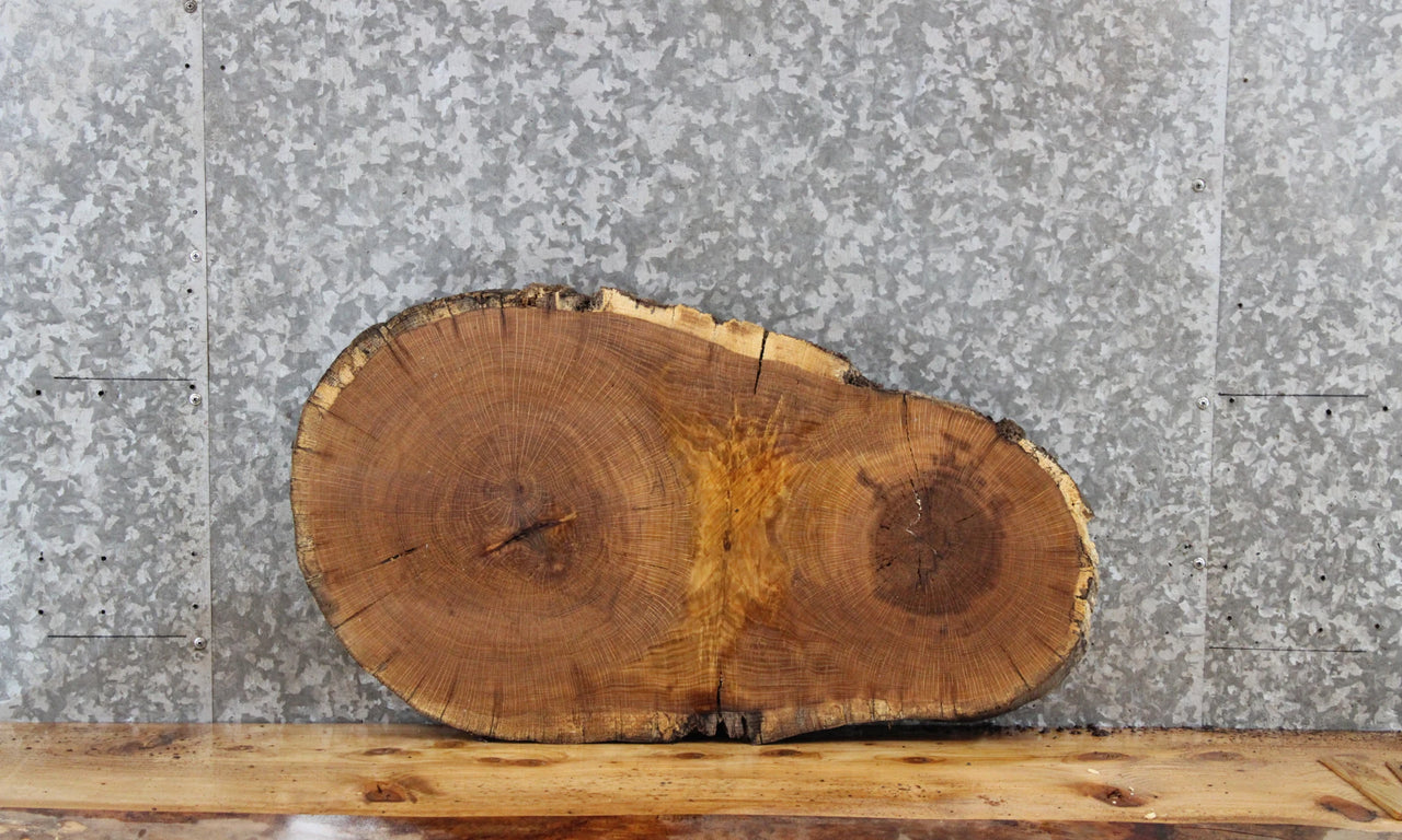 White Oak Live Edge Oval Slab, Wood Table Top 6424