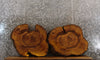 Thumbnail for 2- Live Edge Mulberry End Table Top/Taxidermy Mounts CLOSEOUT 6429-6430