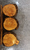 Thumbnail for 3- Live Edge Oak Circle Cut Taxidermy Mounts/Craft Pack 6431-6433