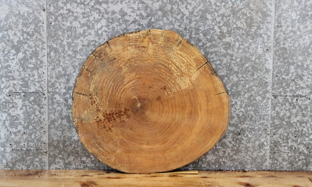 Maple Live Edge Round Cut Wood Slab, Table Top 6434
