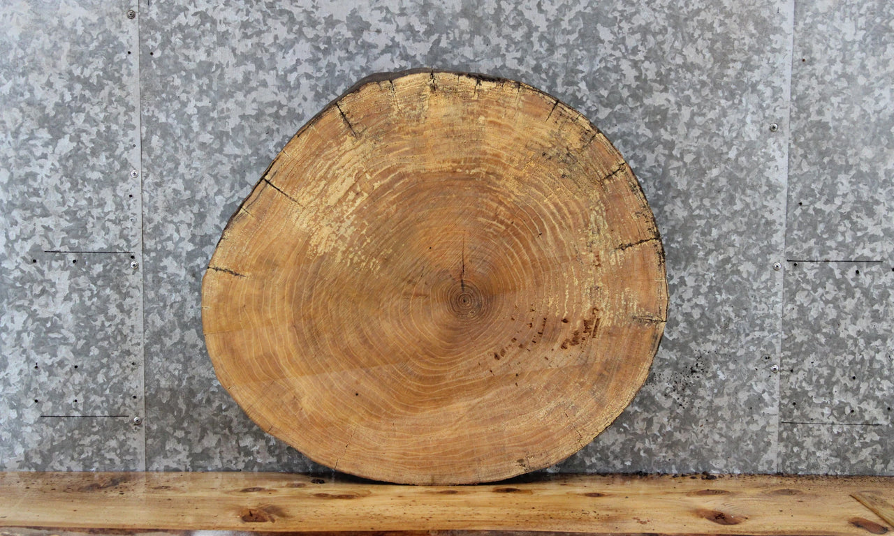 Maple Live Edge Round Cut Wood Slab, Table Top 6434