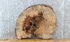Thumbnail for Live Edge Maple Circle Cut Round/Sofa/End Table Top 6440